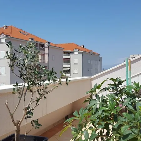 Andrijasevic 마카르스카