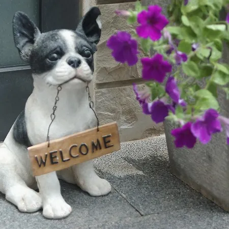 아파트 Andrijasevic *